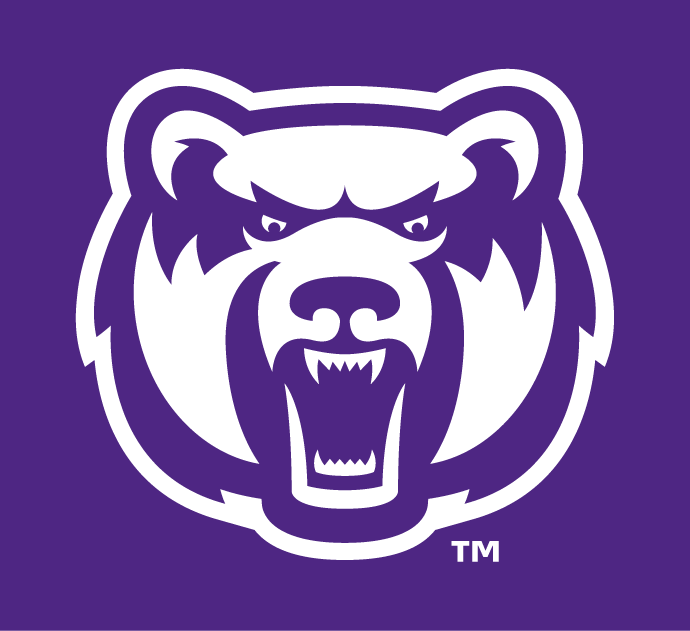 Central Arkansas Bears 2009-Pres Alternate Logo v13 iron on transfers for T-shirts